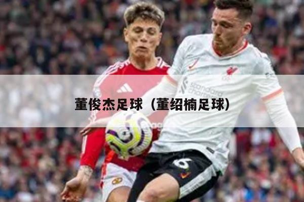 董俊杰足球（董绍楠足球）