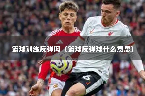 篮球训练反弹网（篮球反弹球什么意思）