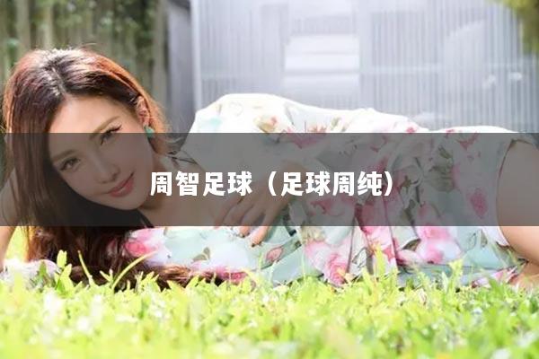 周智足球（足球周纯）